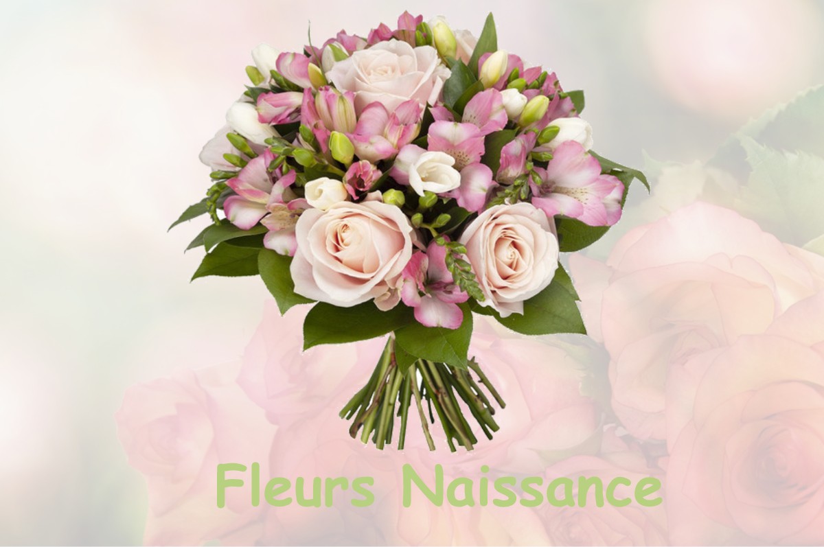 fleurs naissance QUIERS-SUR-BEZONDE