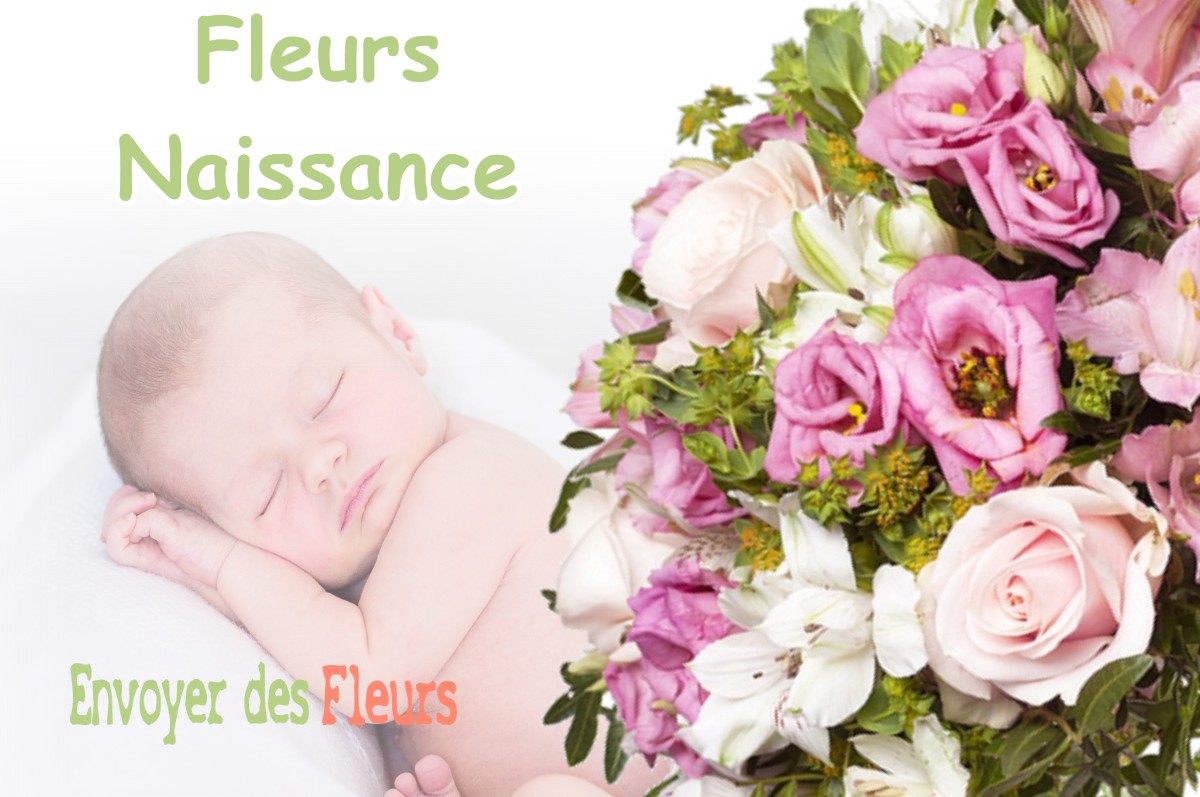 lIVRAISON FLEURS NAISSANCE à QUIERS-SUR-BEZONDE